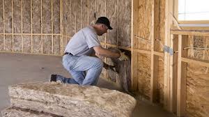 Best Basement Insulation  in Gotha, FL