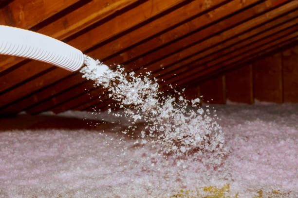 Types of Insulation We Offer in Gotha, FL